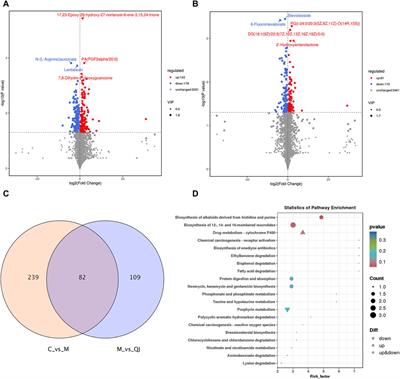 Frontiers | Gut Microbes Combined With Metabolomics Reveal The ...